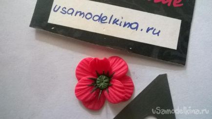 Felfüggesztése mák műanyagból (egy kis darab zöld) Felfüggesztése műanyag mák