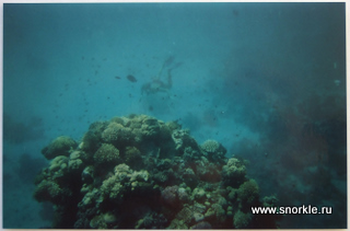 Fotografia subacvatică - ceea ce este mai bine, un vas de săpun de unică folosință sau o aquapacket moale