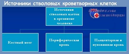 Показання для пересадки кісткового мозку