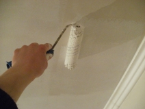 Pictura plafonul cu propriile mâini cum să alegeți vopsea pentru tavan și cum să picteze corect, sfaturi pentru