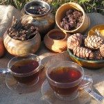 Proprietăți utile ale ceaiului din badana