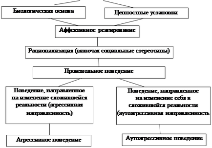 Концепцията на автоагресия и основните му функции