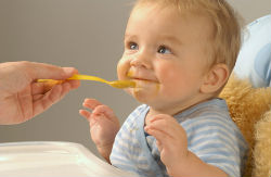 Послідовність введення фруктів і овочів в прикорм дитині 6-12 місяців