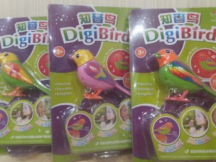 Співоча інтерактивна пташка digibirds, spin master