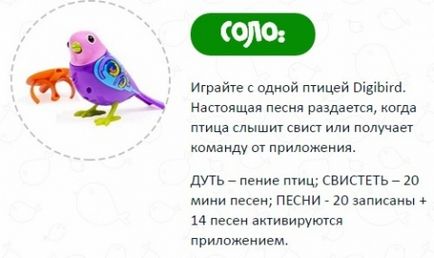 Cântând digibirds de păsări interactive, maestru de spin