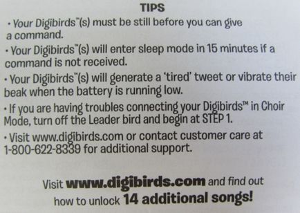 Співоча інтерактивна пташка digibirds, spin master