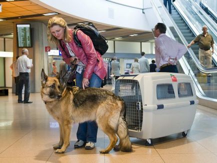 Reguli de comportament în avion