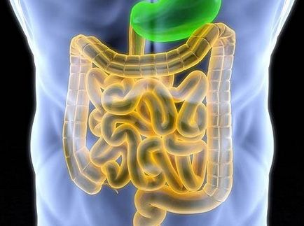 Pregătiri pentru lista de curățare a intestinului și recomandări