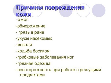 Презентація до уроку навколишнього світу по темі шкіра - прикордонник - людини - початкові класи,