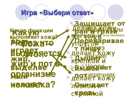 Презентація до уроку навколишнього світу по темі шкіра - прикордонник - людини - початкові класи,