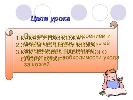 Презентація до уроку навколишнього світу по темі шкіра - прикордонник - людини - початкові класи,