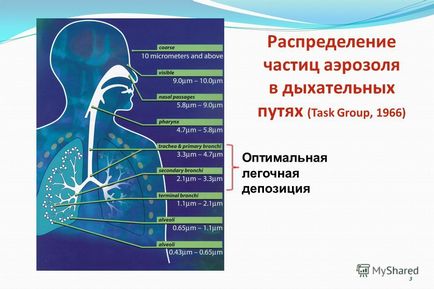 Előadás Modern szempontjai inhalációs terápia gyermekgyógyászati ​​gyakorlatban az osztály helyettes