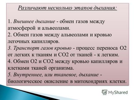 Презентація на тему визначення частоти дихальних рухів (ЧДД)