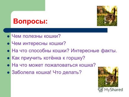 Презентація на тему з точки зору кішок, все на світі належить їм