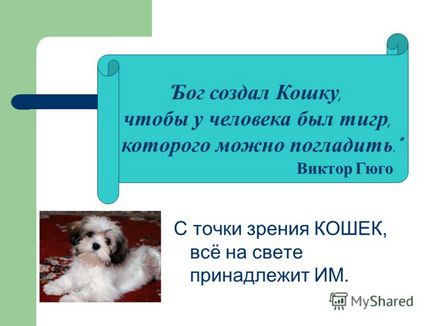 Презентація на тему з точки зору кішок, все на світі належить їм