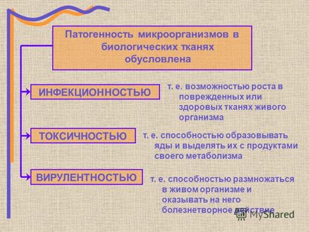 Презентація на тему тема лекції хірургічна інфекція