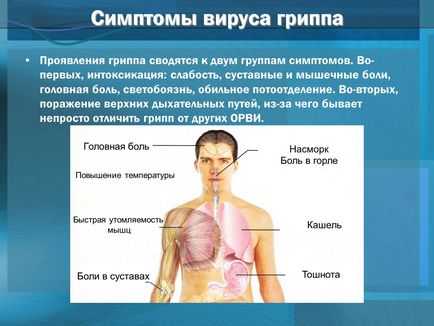 Презентація на тему віруси