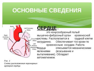 Презентація - профілактика серцево-судинних захворювань - завантажити безкоштовно