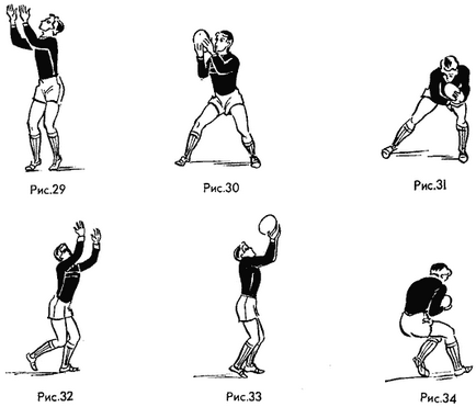 Recepționarea mingii, tehnica individuală și de echipă a jocului, rugby pentru începători