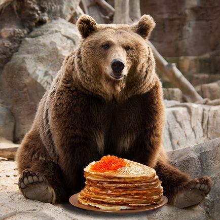 Прикольні картинки про ведмедя (38 фото) - прикольні картинки і гумор