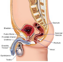 Utilizarea genferonului în diagnosticul de prostatită