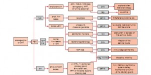 Probleme de concepție la bărbați, diagnostic