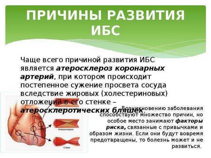 Prevenirea bolilor cardiovasculare