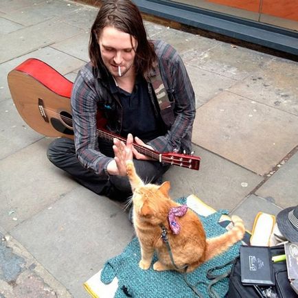 Despre o pisică și un muzician - călătorim împreună