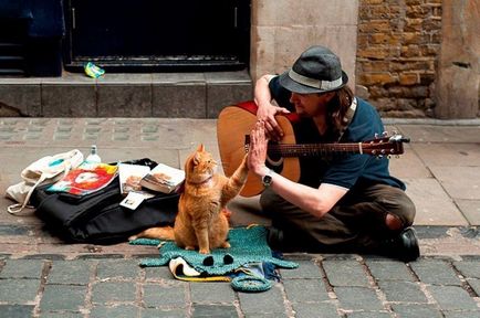 Despre o pisică și un muzician - călătorim împreună
