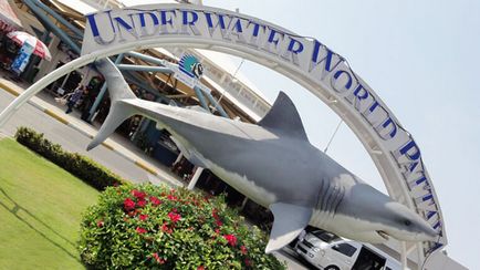 Despre oceanarium din Pattaya