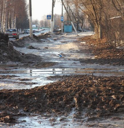 Пропальпировать нирку що це таке