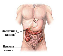 Пряма кишка - лікування, будова, функції