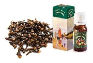 Spice szegfűszeg terápiás tulajdonságainak és ellenjavallatok (Contra) Spice szegfűszeg gyógyászati tulajdonságokkal és ellenjavallatok