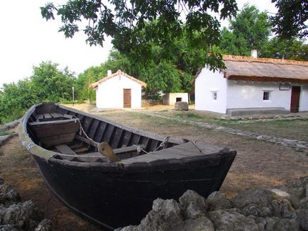 O excursie la atracțiile Tamani, anapamama!