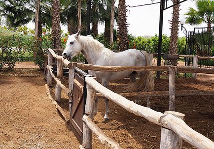 Utazás Marokkó dolgom Agadir - a város szélén a világ, hello! Oroszország