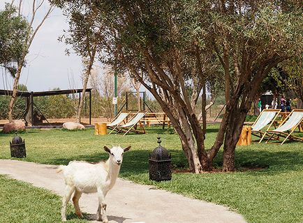 Utazás Marokkó dolgom Agadir - a város szélén a világ, hello! Oroszország