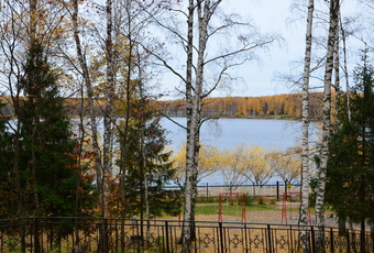 Căi spre Dolby Birch Grove