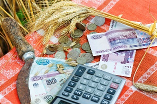 Розведення і продаж великої рогатої худоби як бізнес