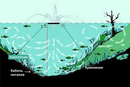 Розведення риби в штучних водоемаx як побудувати і облаштувати ставок