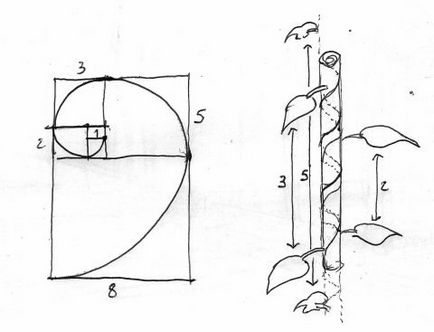Reális fák használata ngplant (és keverő), egy mixer 3d (via) Reális fák használata ngplant (és keverő), egy mixer 3d