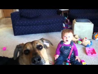 Copilul râde și câinele mănâncă bule de săpun)))) - clip, viziona online, descarcă clipul pentru copii