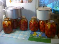 Retete de tomate pentru tomate rvatsiya cu miere, sare si piper