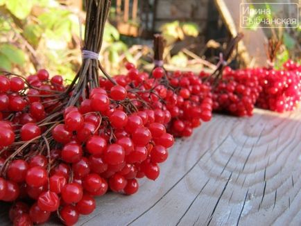 Рецепт калини з медом при різних захворюваннях