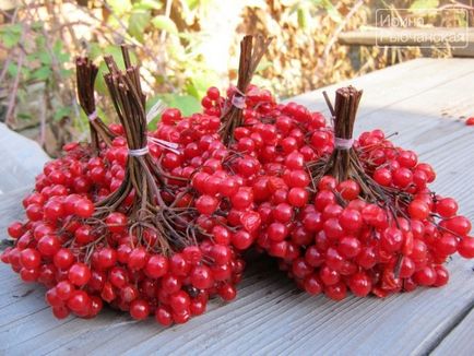 Recept Viburnum mézzel különböző betegségek