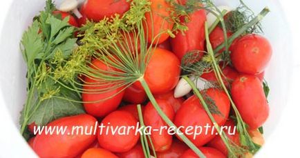 Рецепт засолювання помідорів в бочці або відрі (холодним способом)