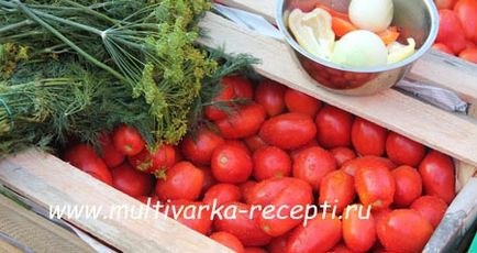 Рецепт засолювання помідорів в бочці або відрі (холодним способом)