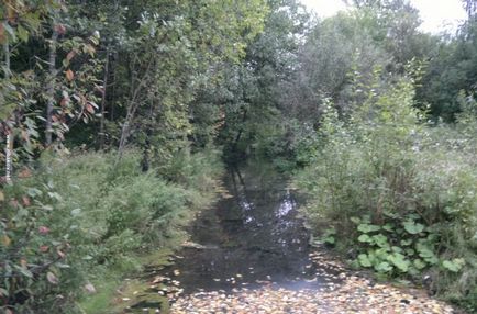 Риболовля на Яузском водосховище