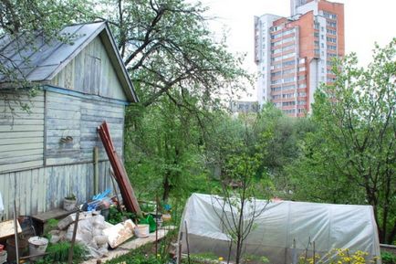 Piata imobiliara dacha a revigorat, ziarul Ivanovo