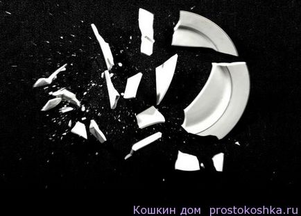 Rassorka rituális - a lemezen, Cat háza (telek) Rassorka rituális - a lemezen, Cat háza