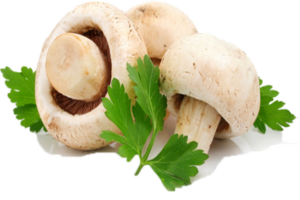 Різотто з куркою і грибами - покроковий рецепт з фото